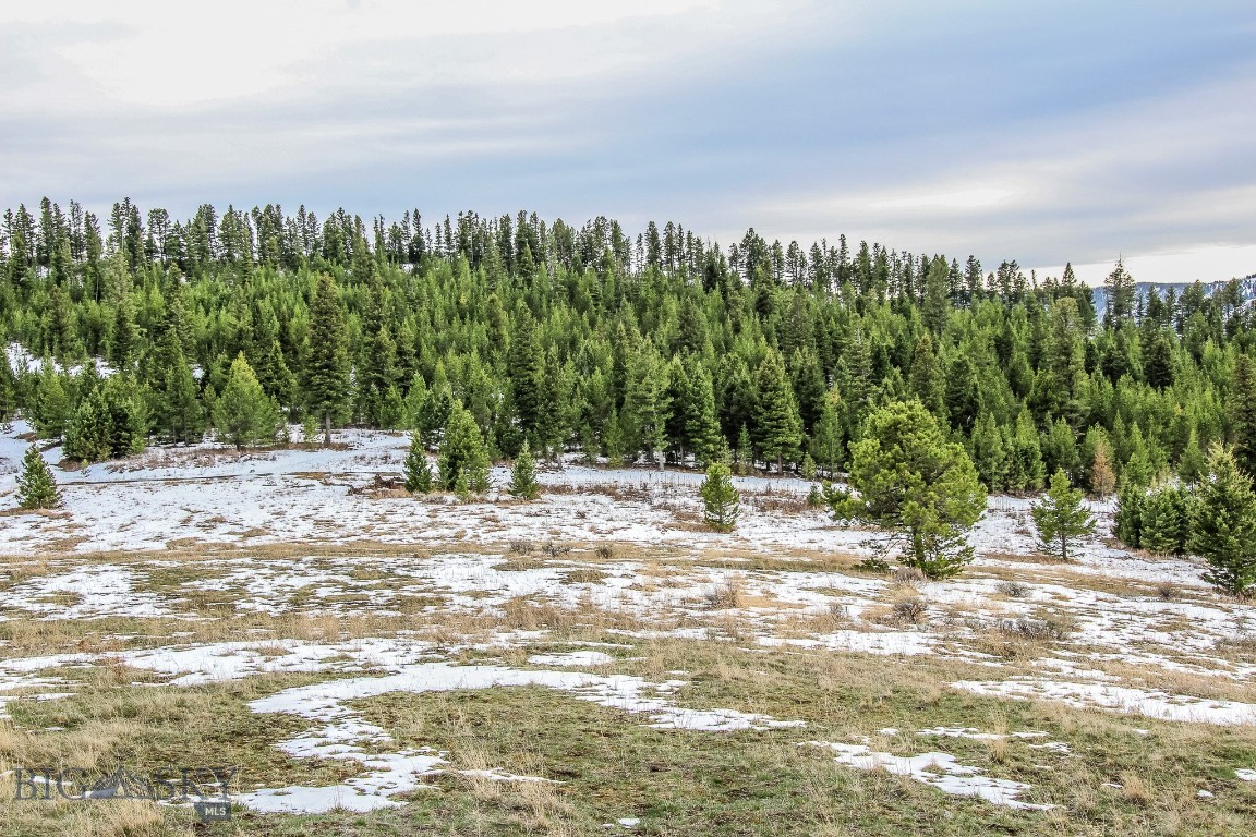 Bozeman