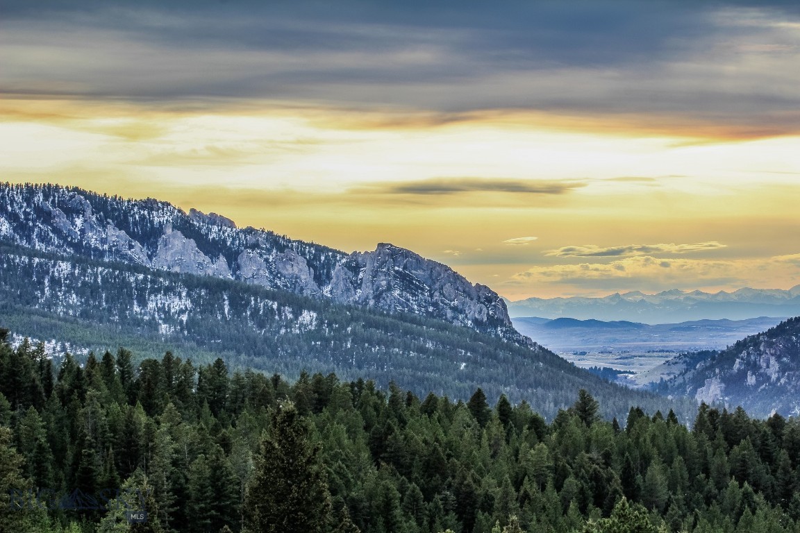 Bozeman