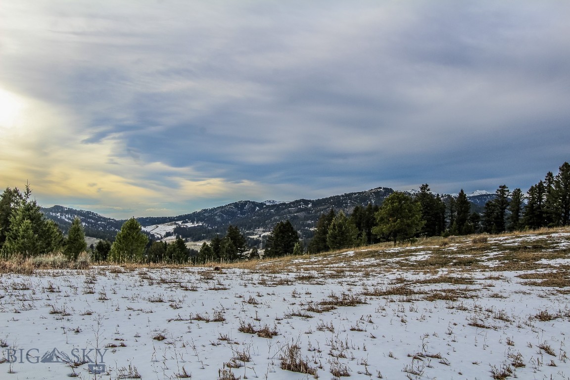 Bozeman