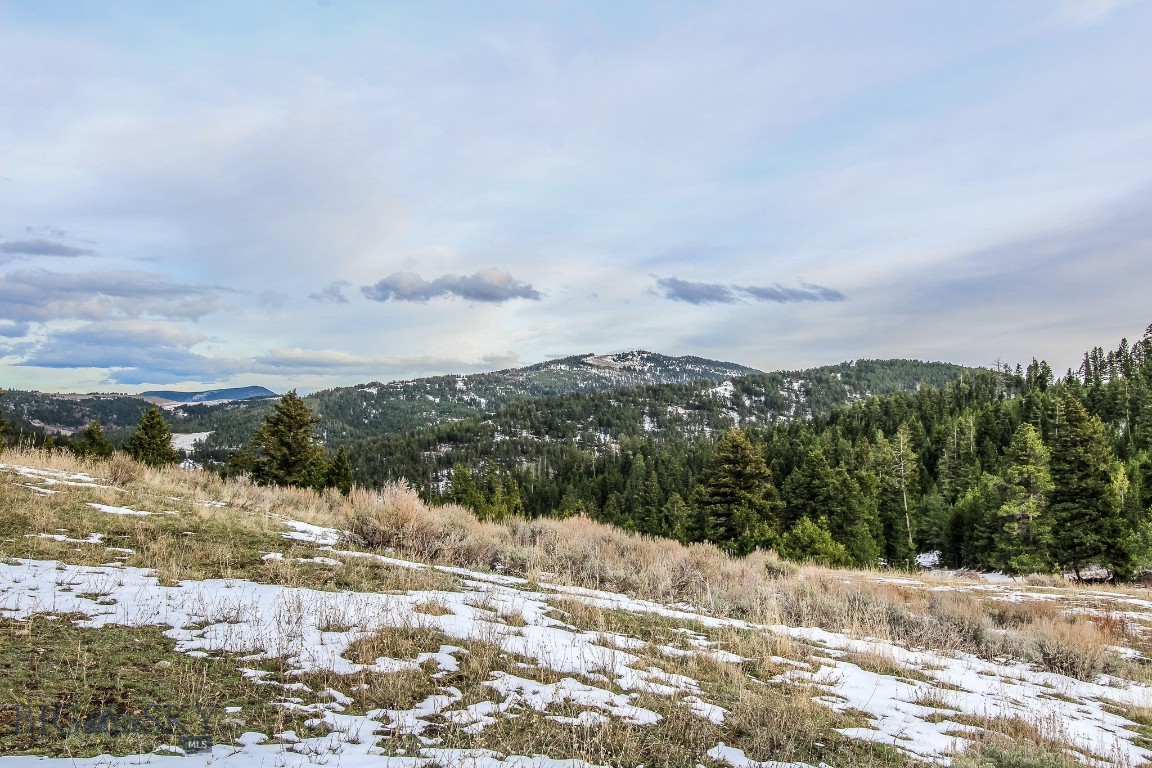 Bozeman