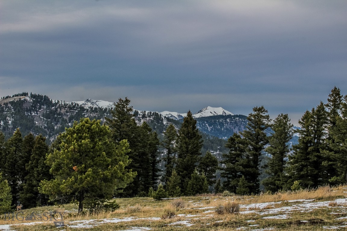 Bozeman