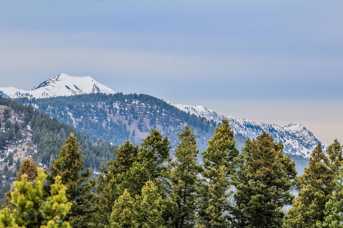 Bozeman