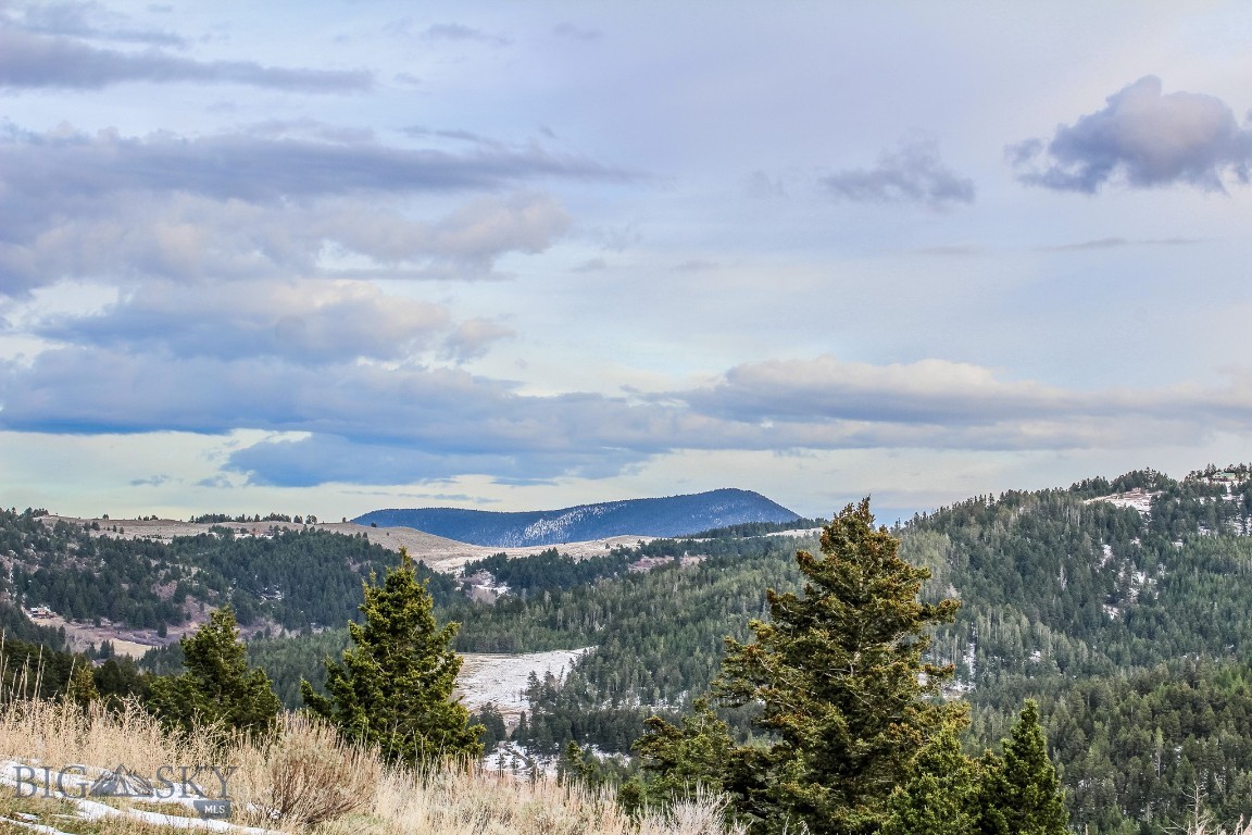 Bozeman