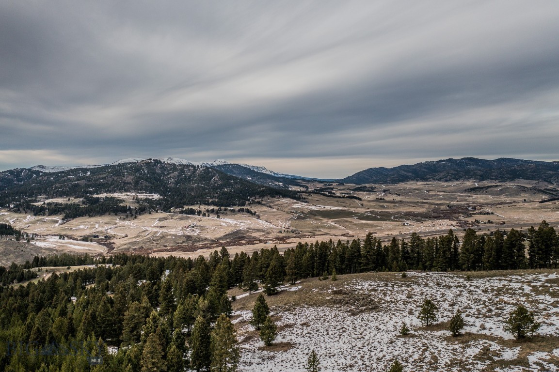 Bozeman