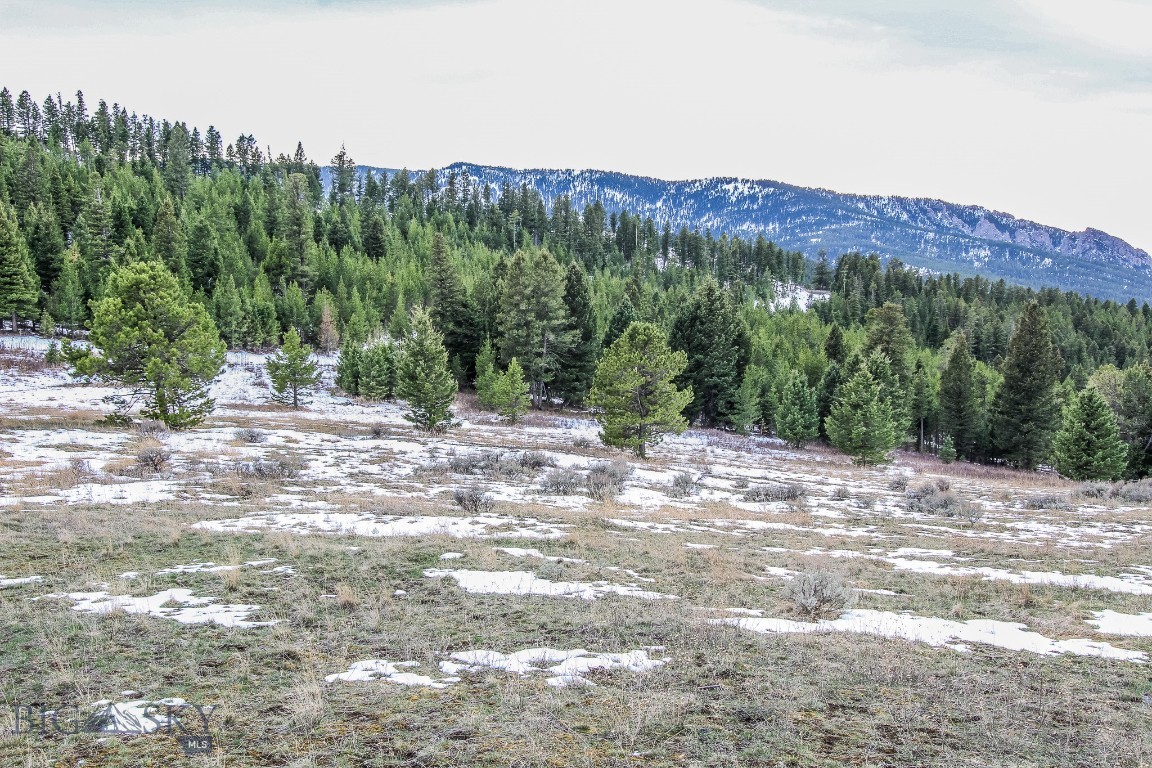 Bozeman