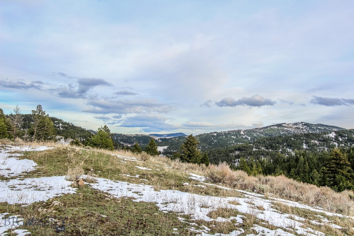 Bozeman