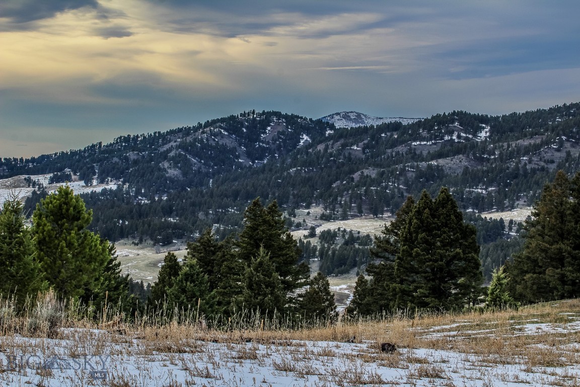Bozeman