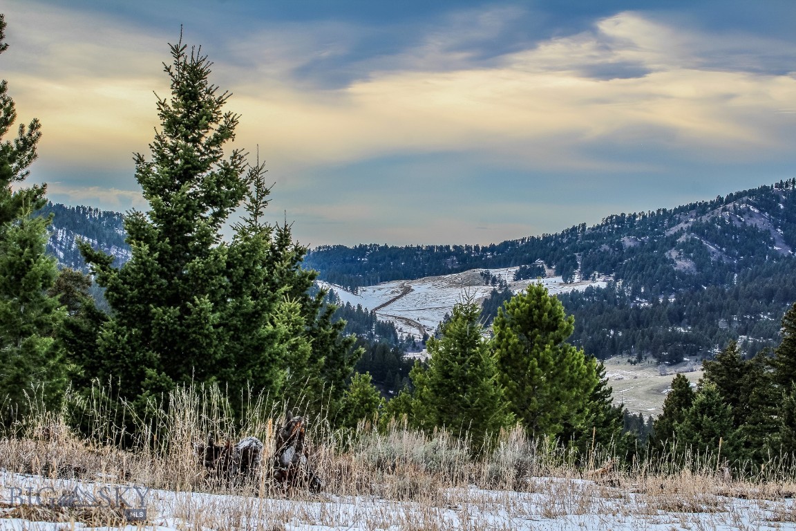 Bozeman