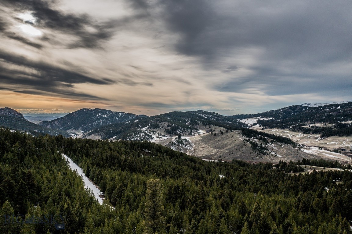 Bozeman