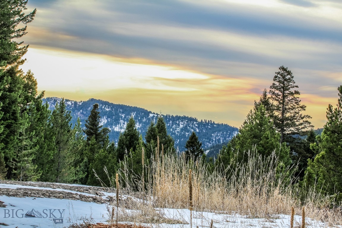 Bozeman