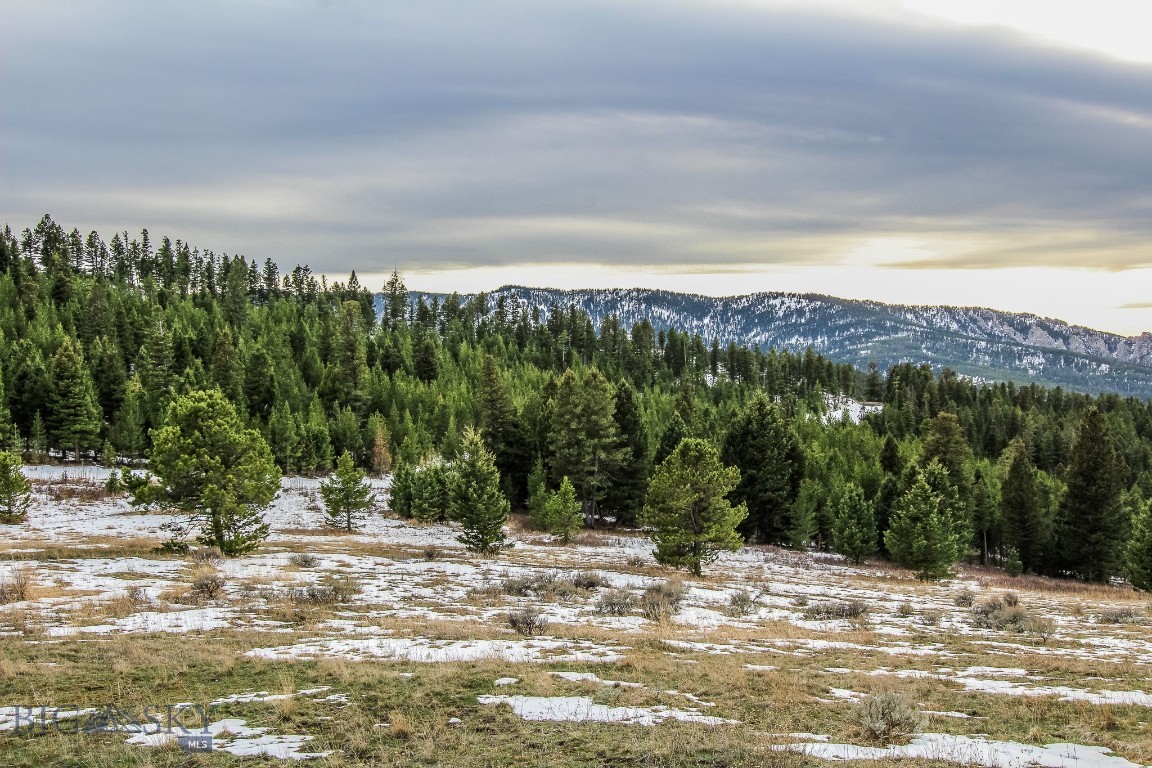Bozeman