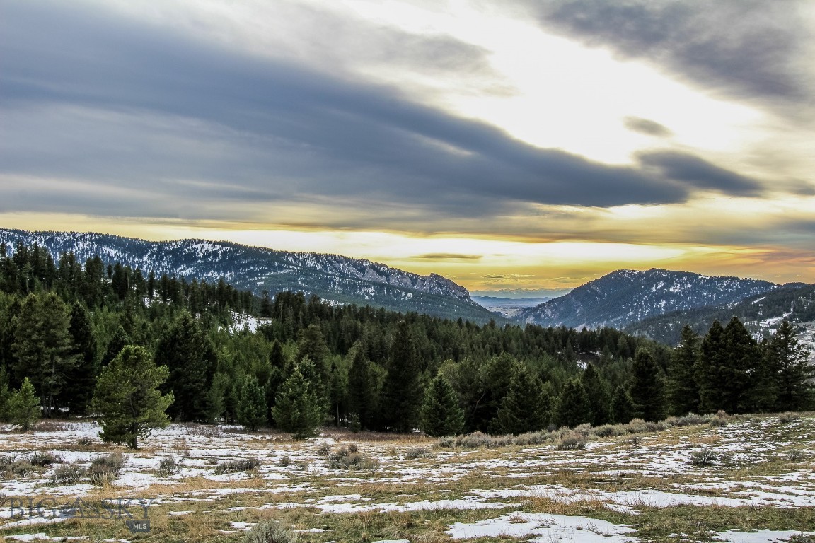 Bozeman