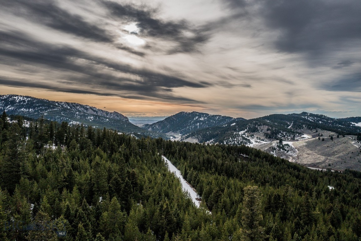 Bozeman