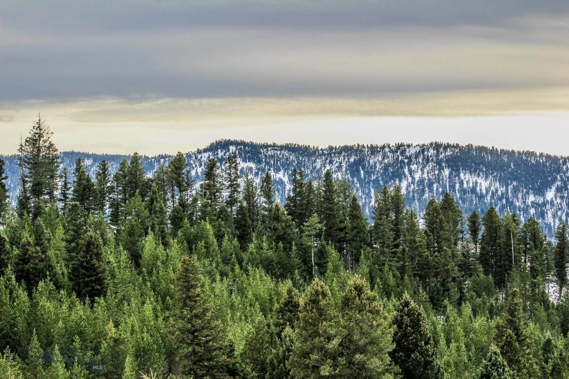 Bozeman