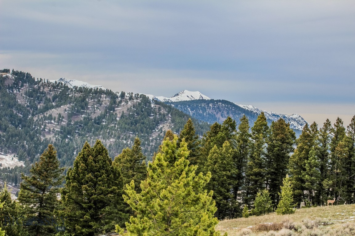 Bozeman