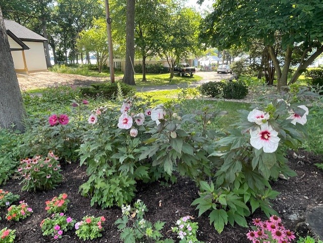 42429 N Woodbine Avenue