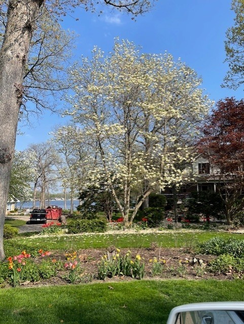 42429 N Woodbine Avenue