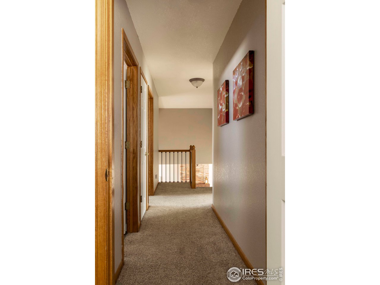 607 Saint Michaels Dr