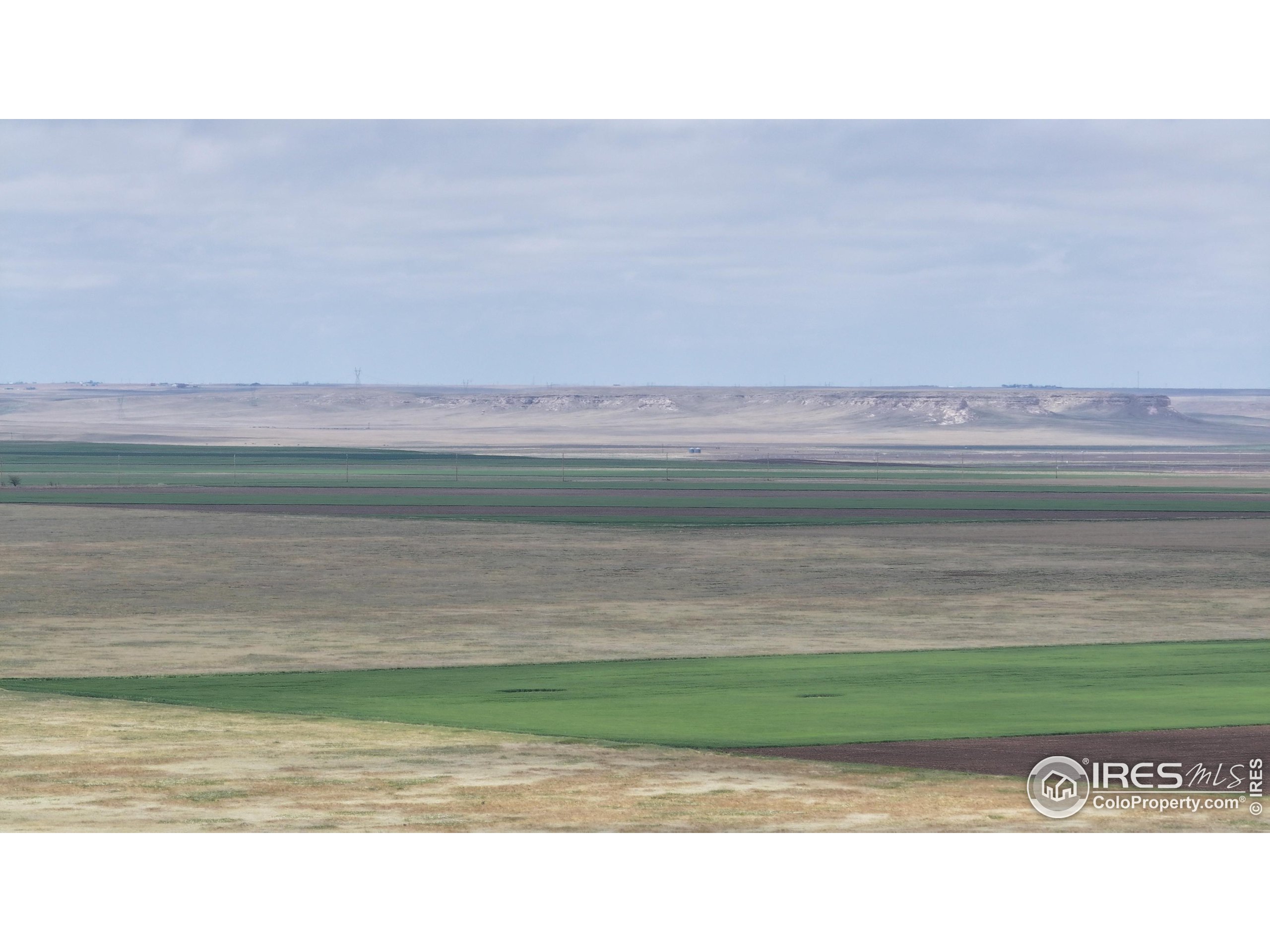 (TBD) County Road 136