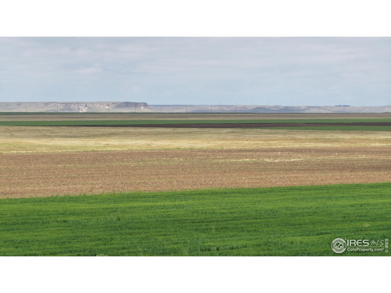 (TBD) County Road 136