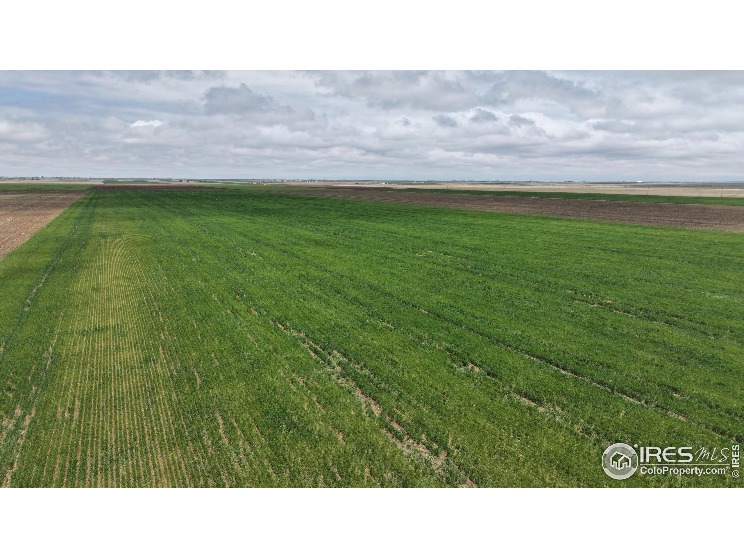 (TBD) County Road 136