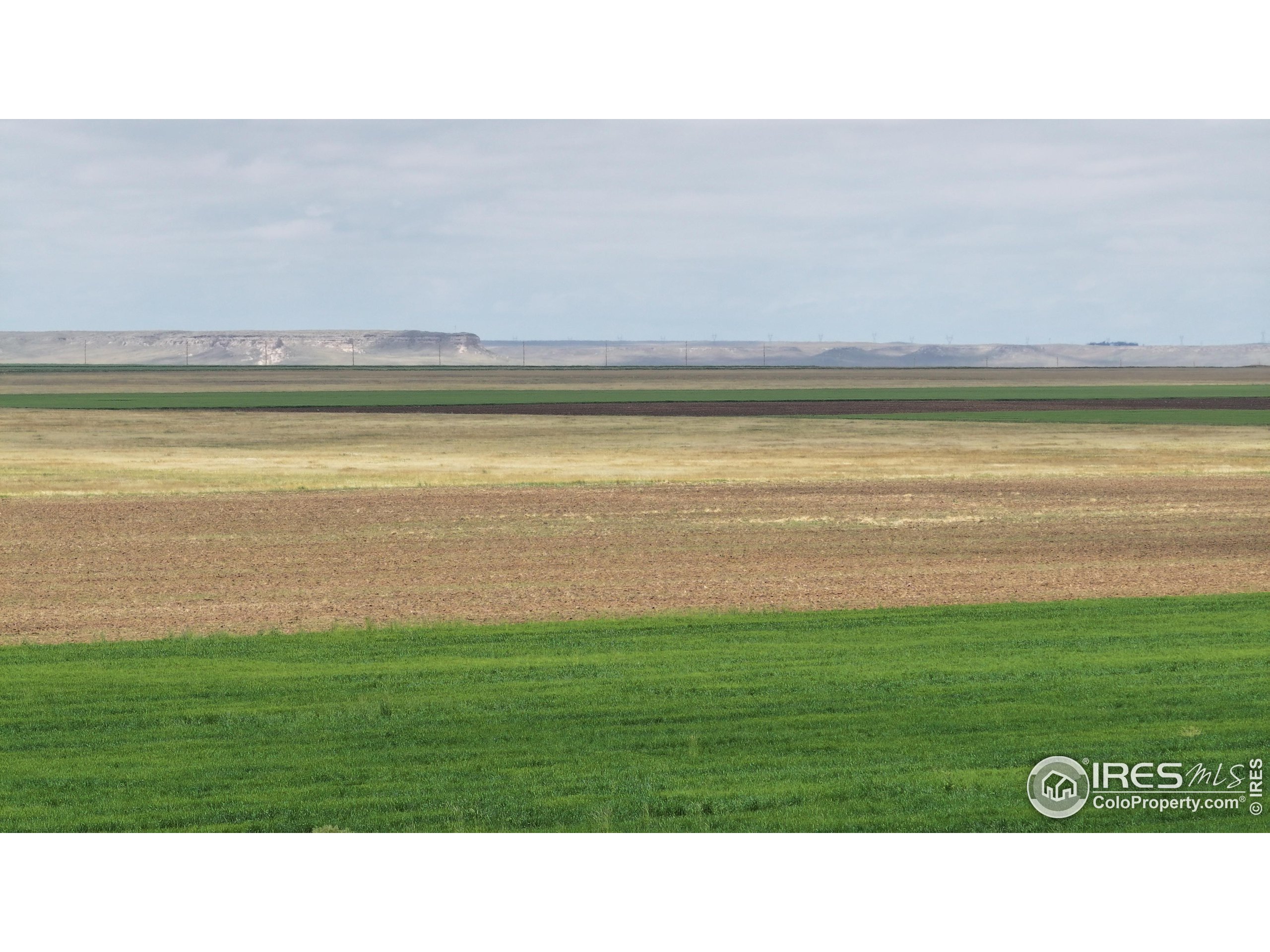 (TBD) County Road 136