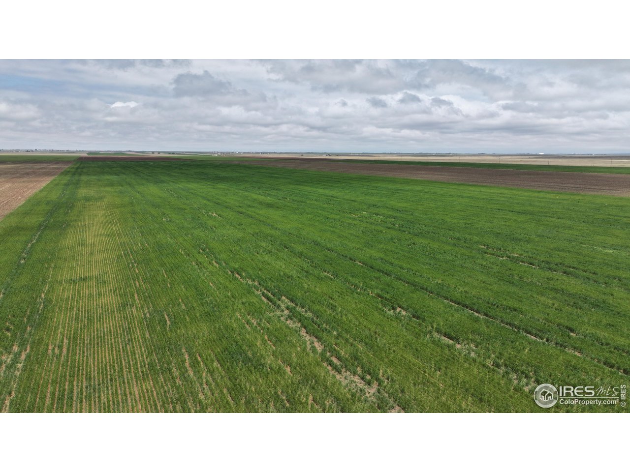 (TBD) County Road 136