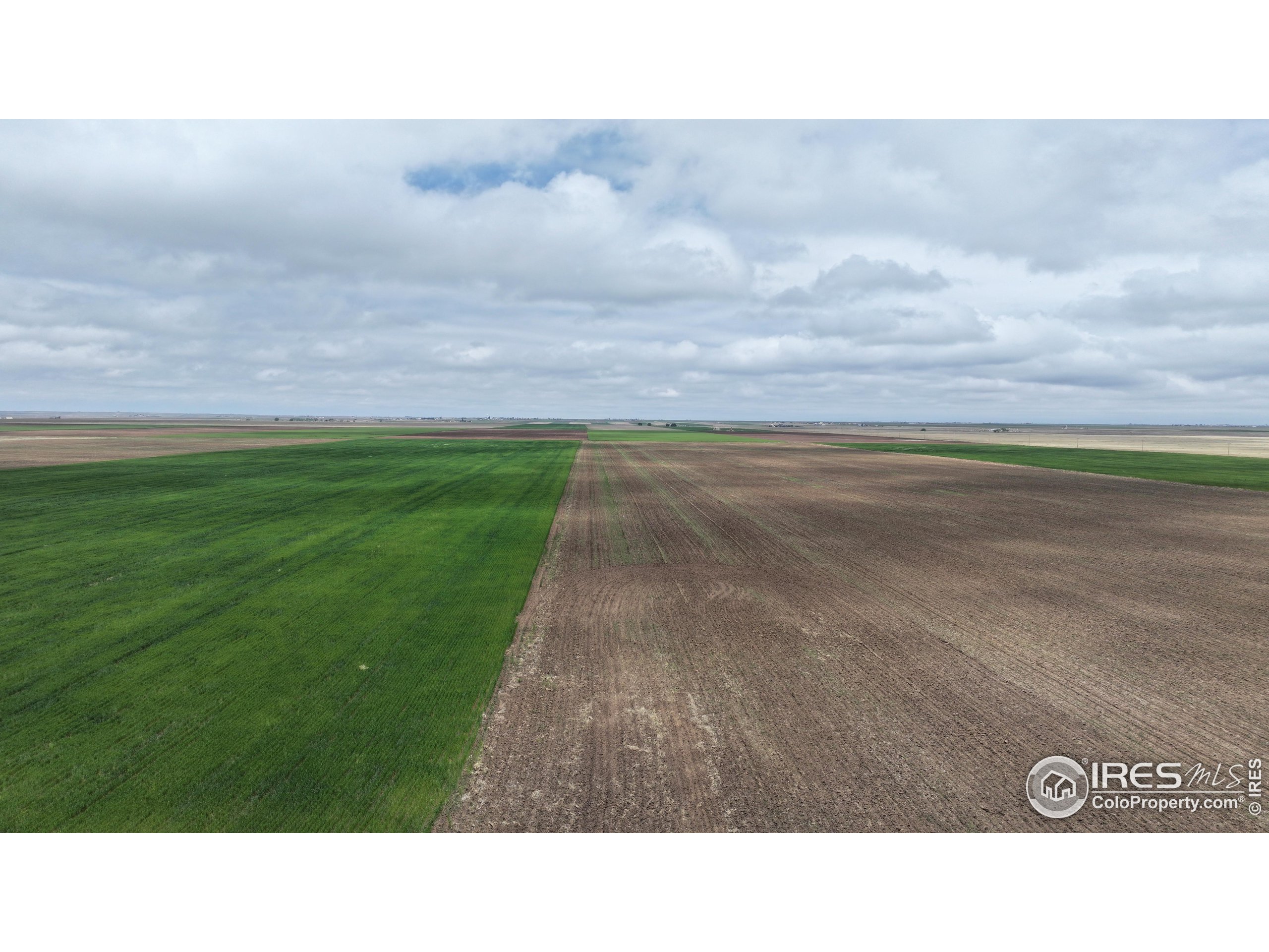 (TBD) County Road 136