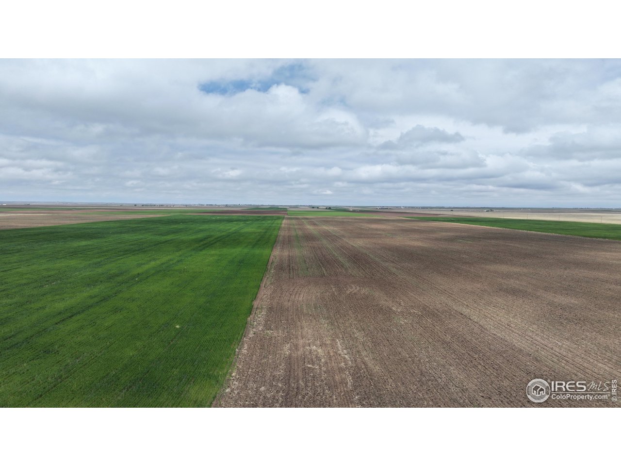 (TBD) County Road 136