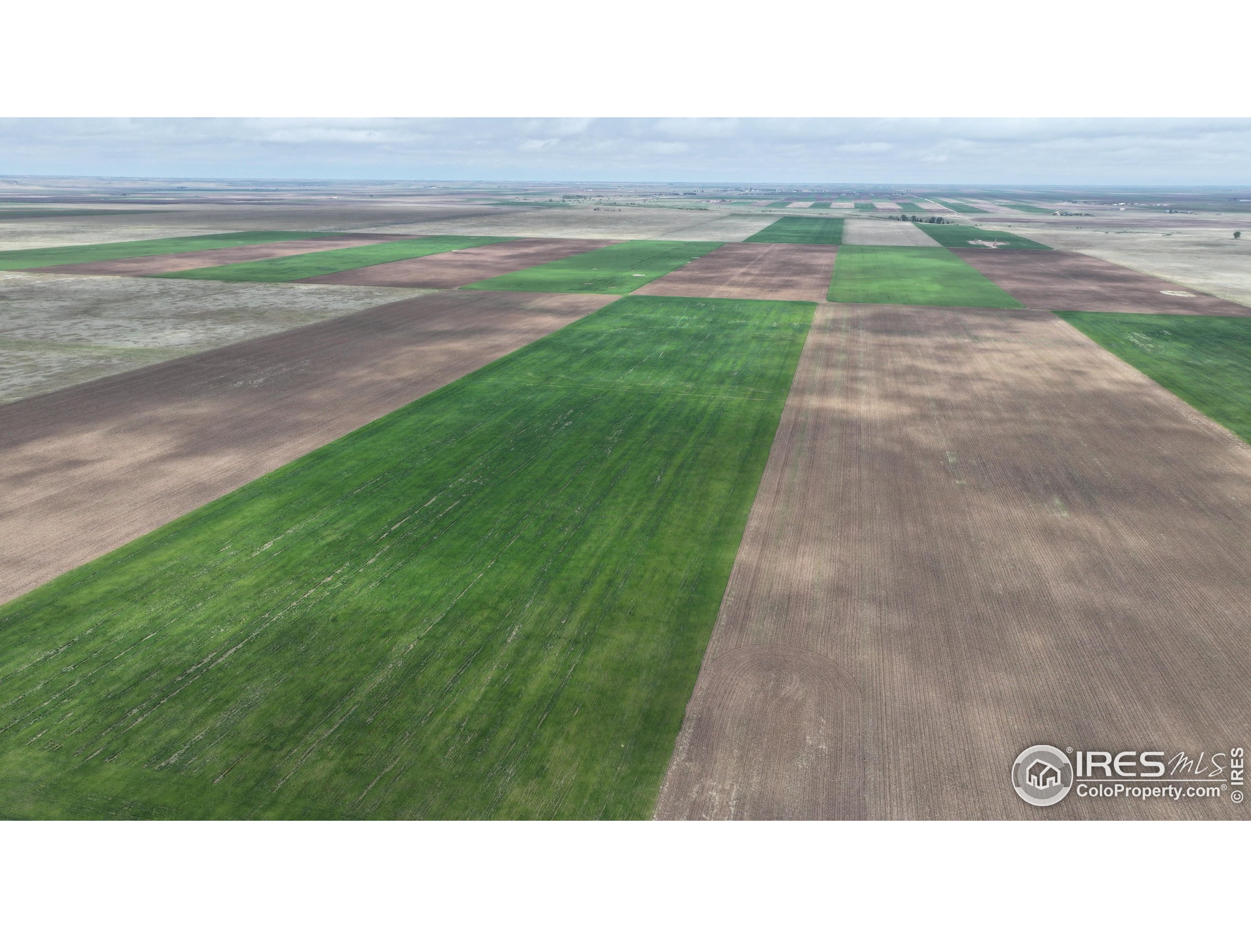 (TBD) County Road 136