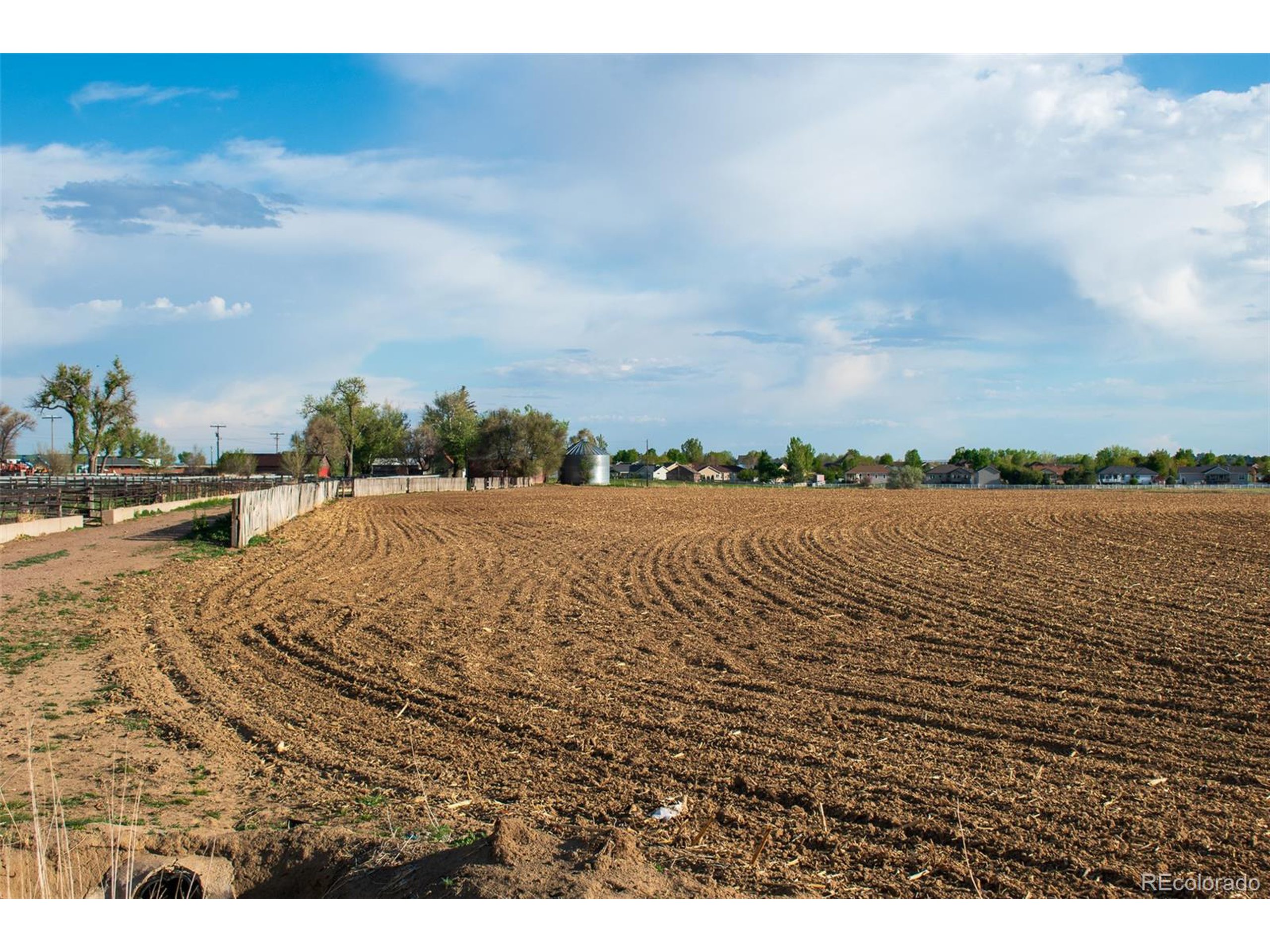 11981 County Road 74, Severance CO