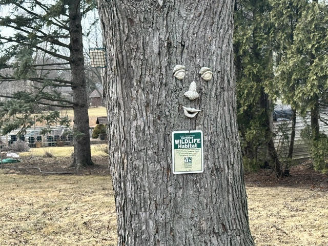 8538 Washington Street