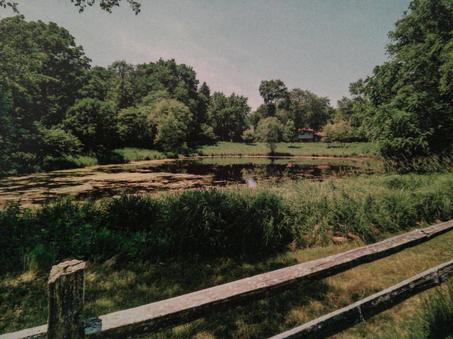 8538 Washington Street