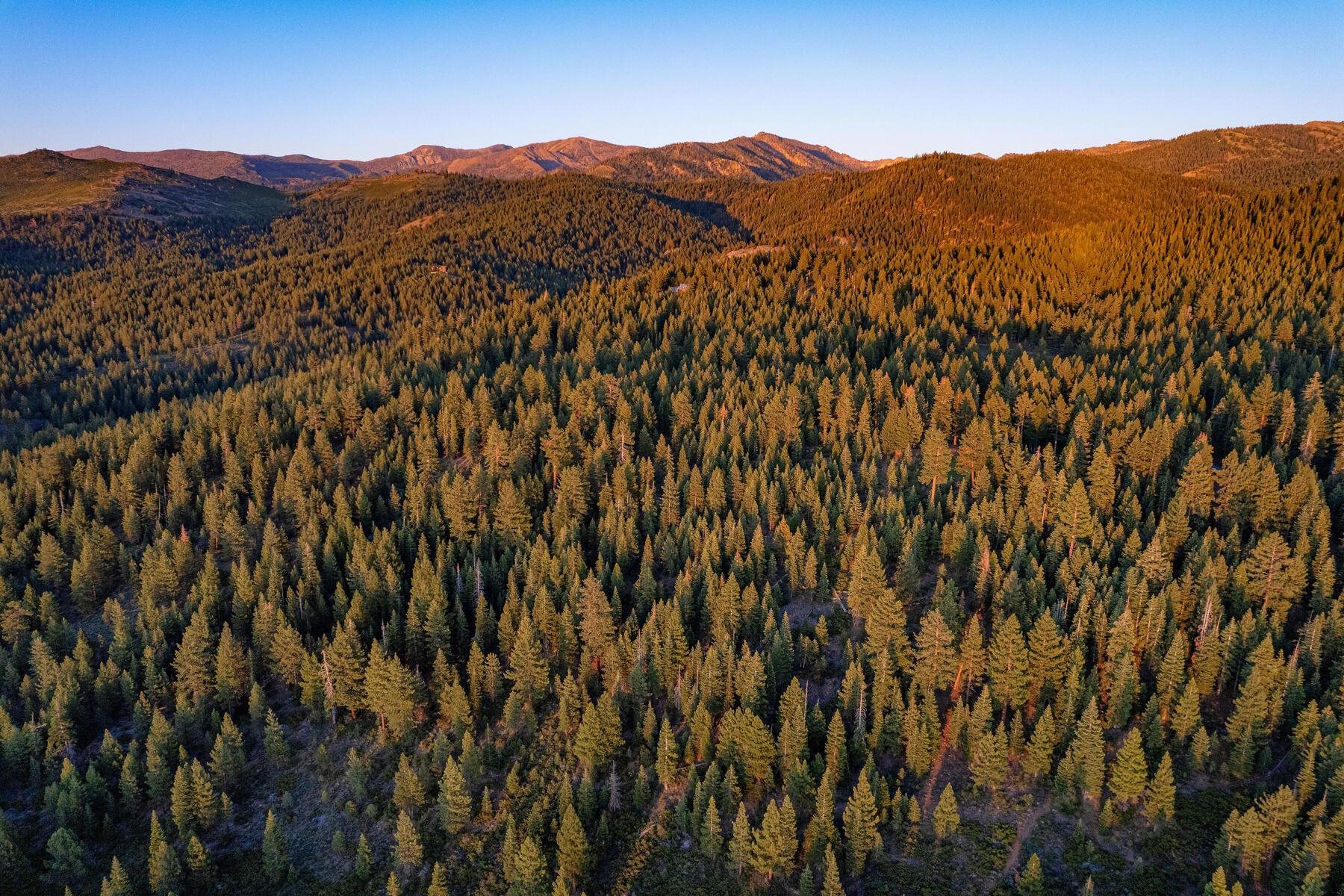 18168 La Mirada Road