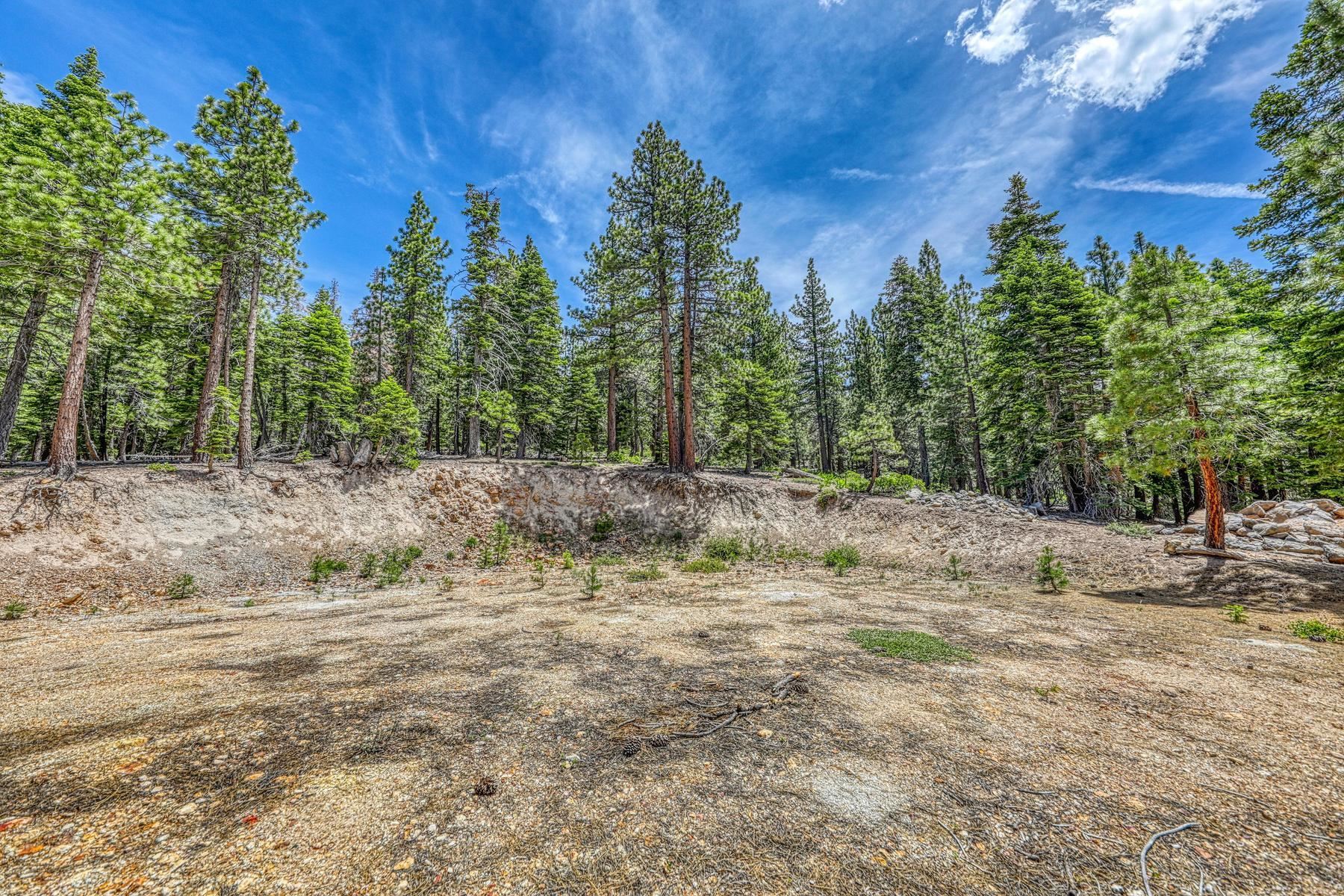 16145 Martis Peak Road