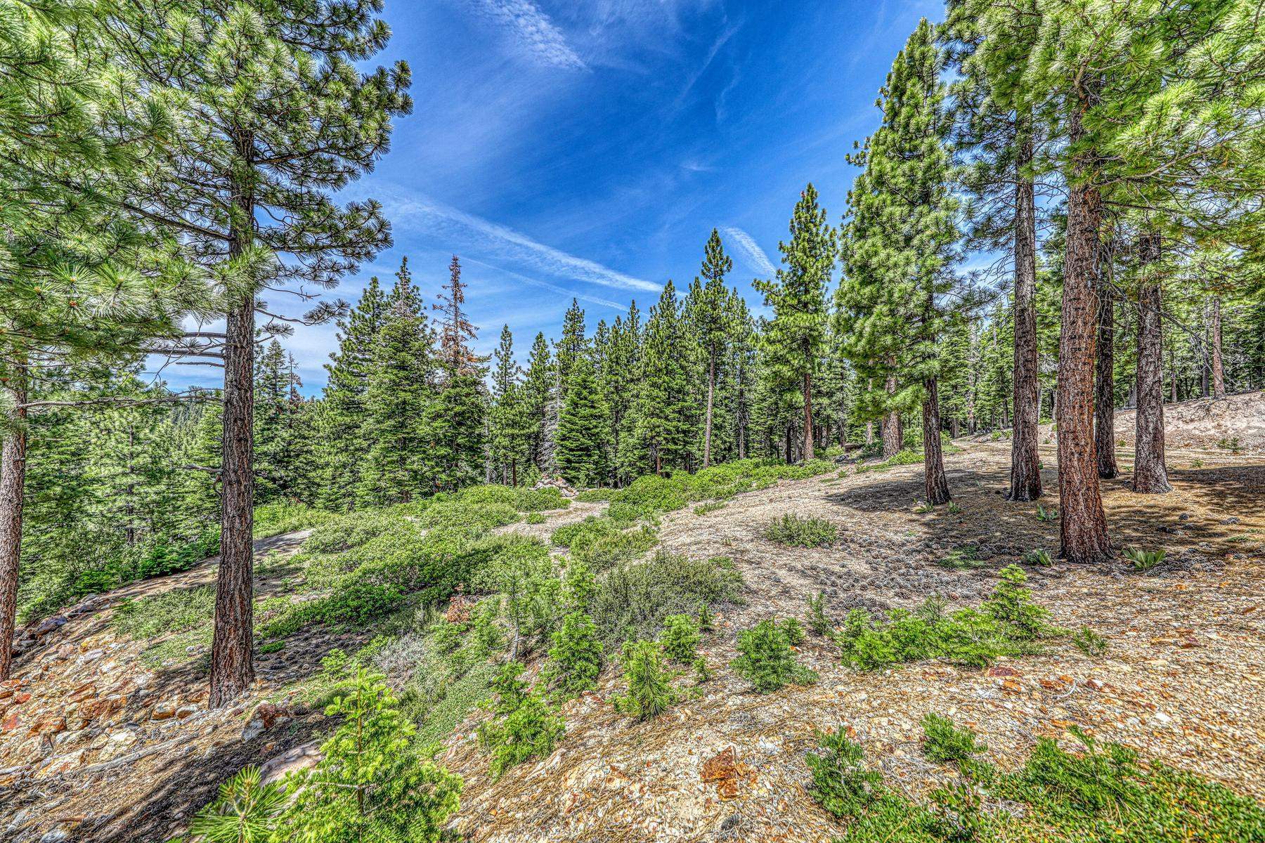 16145 Martis Peak Road