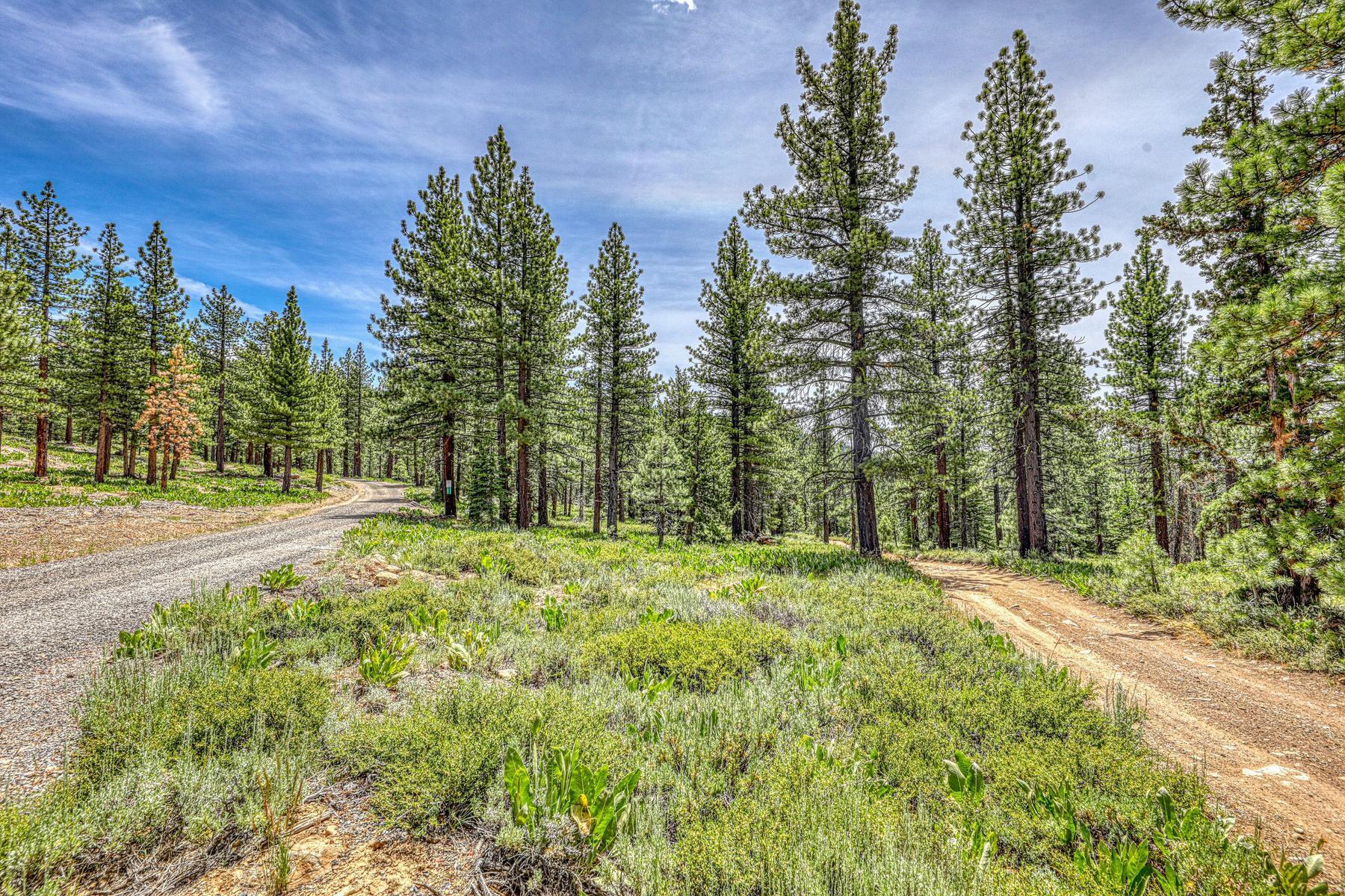 16145 Martis Peak Road