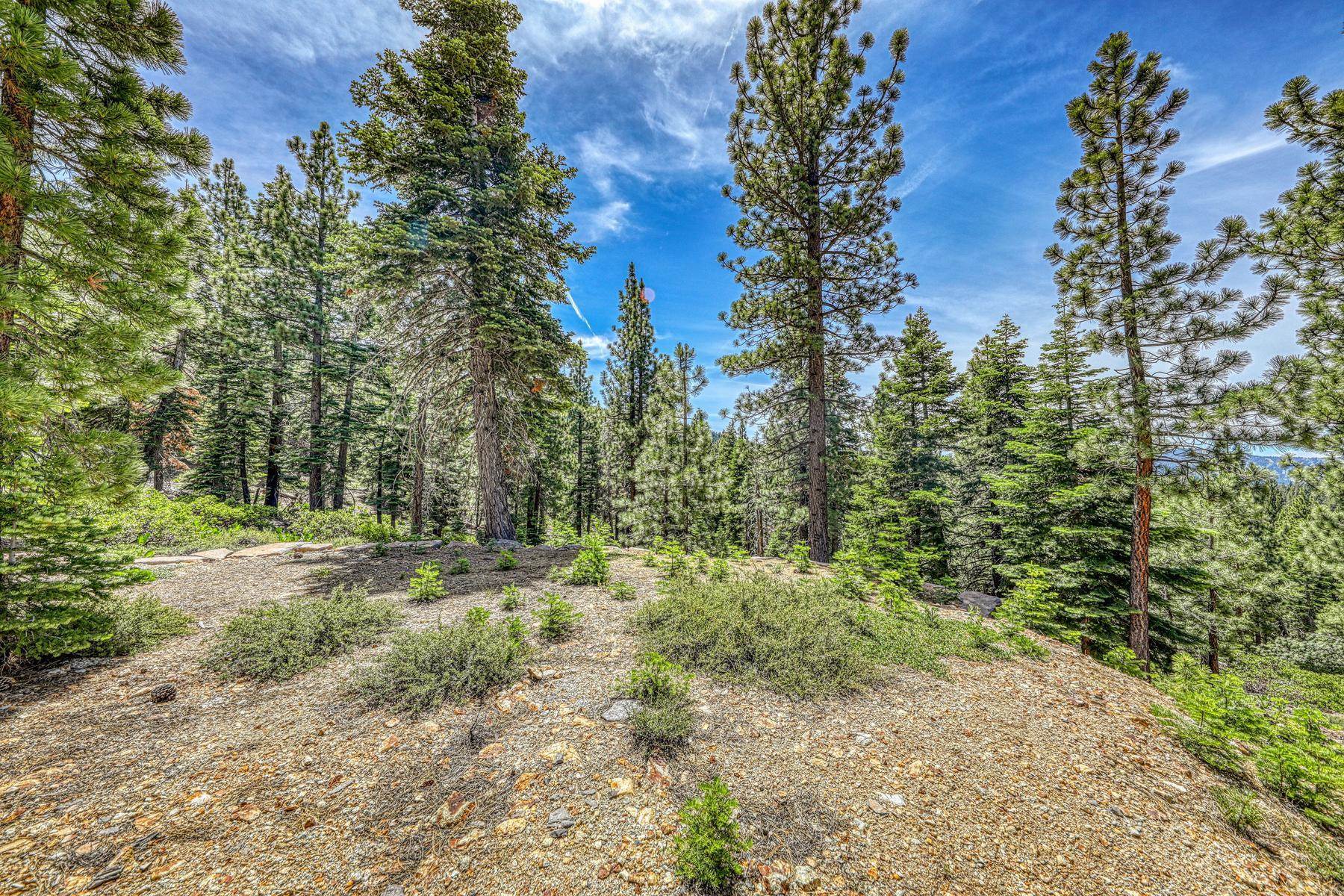 16145 Martis Peak Road