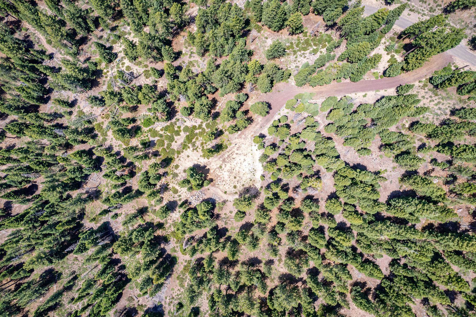 16145 Martis Peak Road