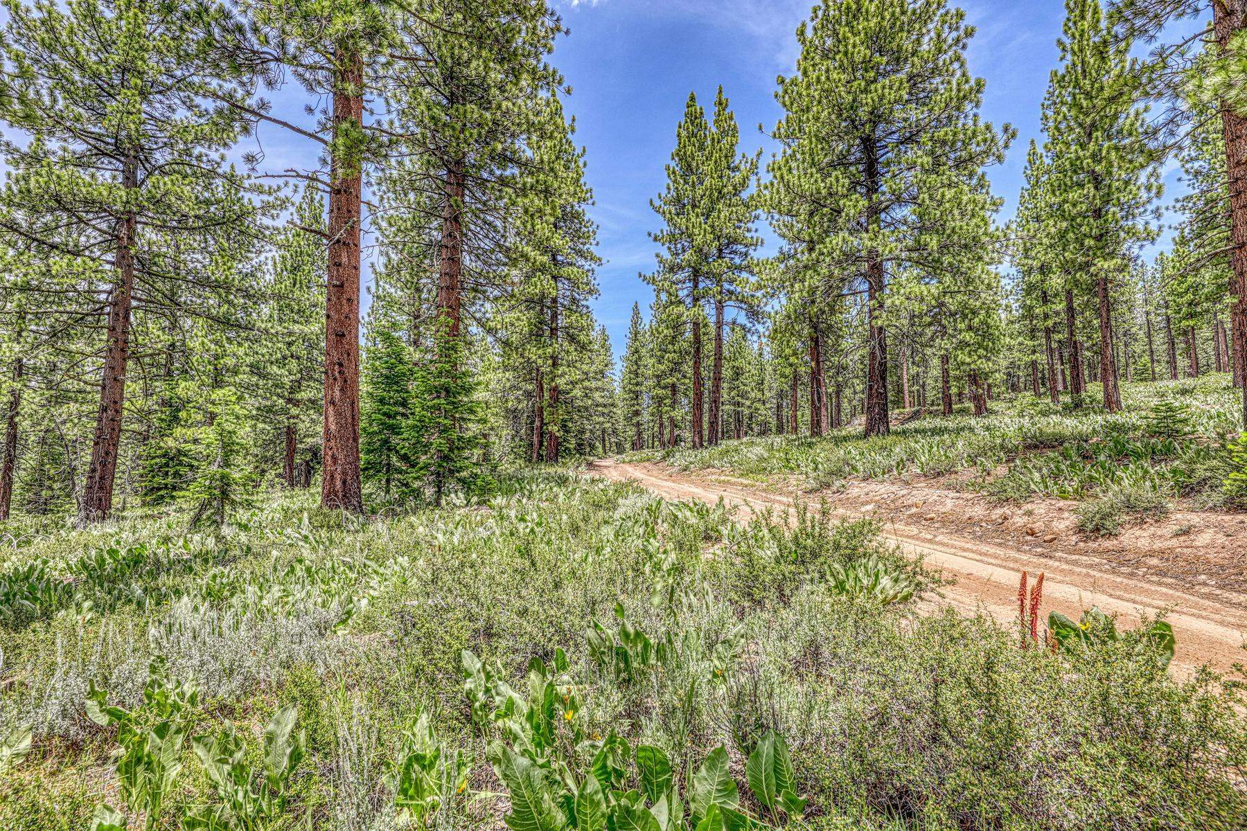 16145 Martis Peak Road