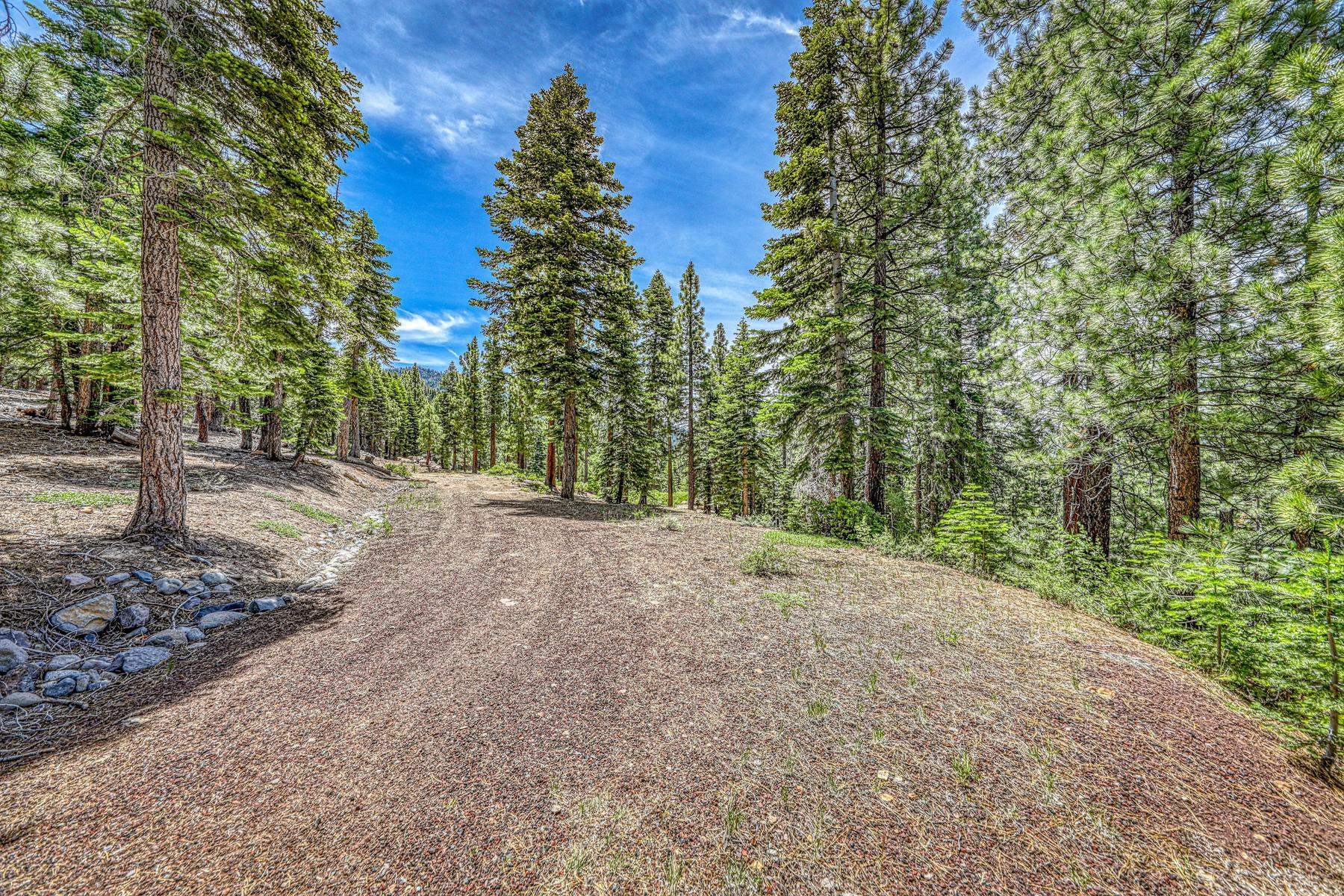 16145 Martis Peak Road