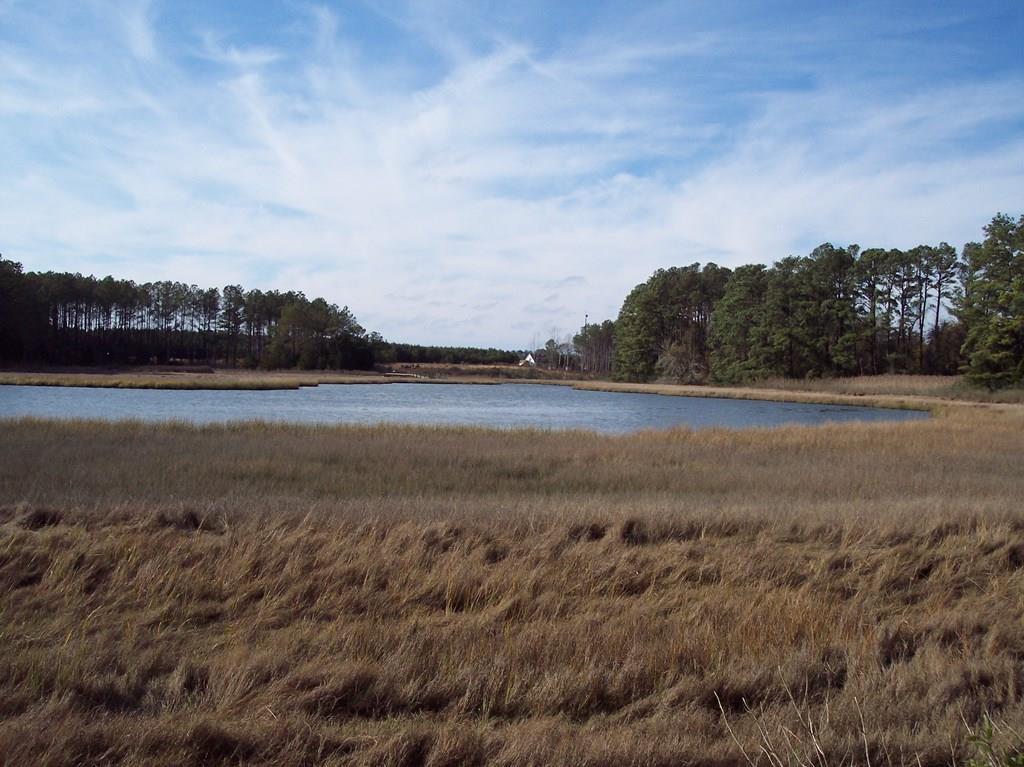Lot #16 Metompkin Rd # 16