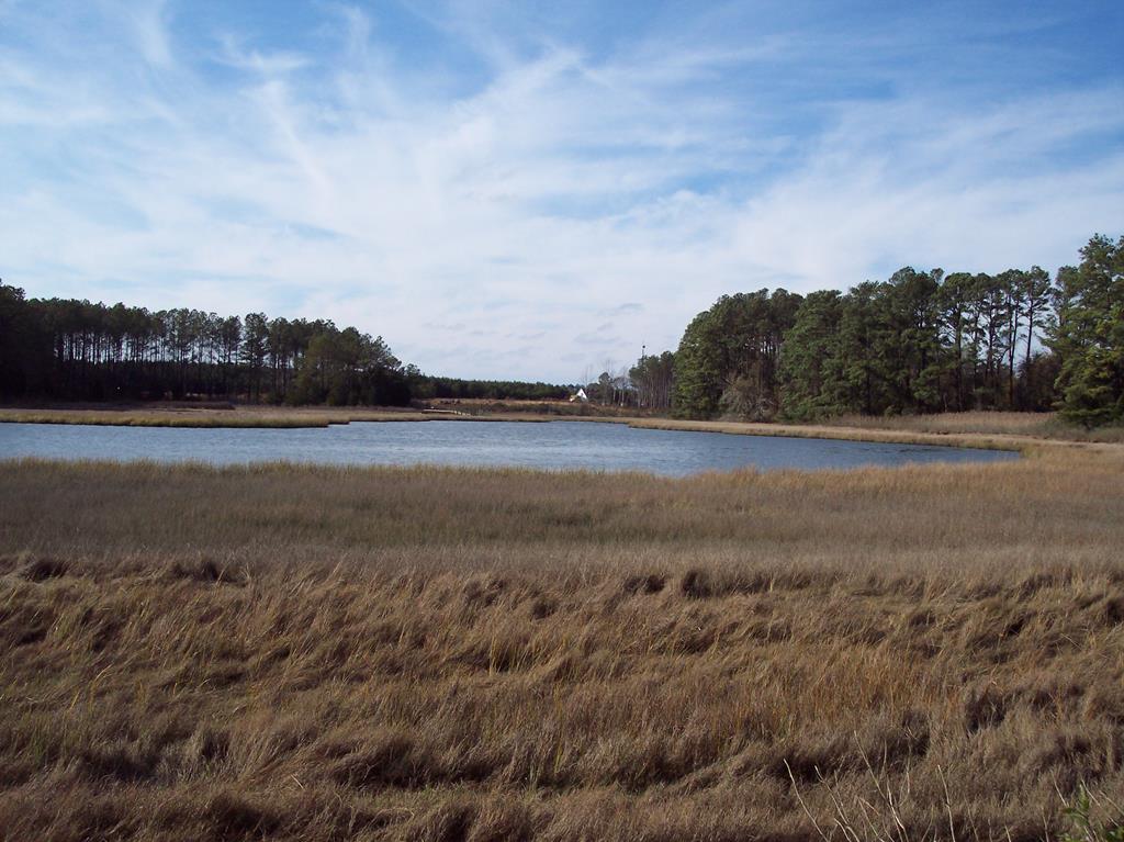 Lot #13 Metompkin Rd # 13