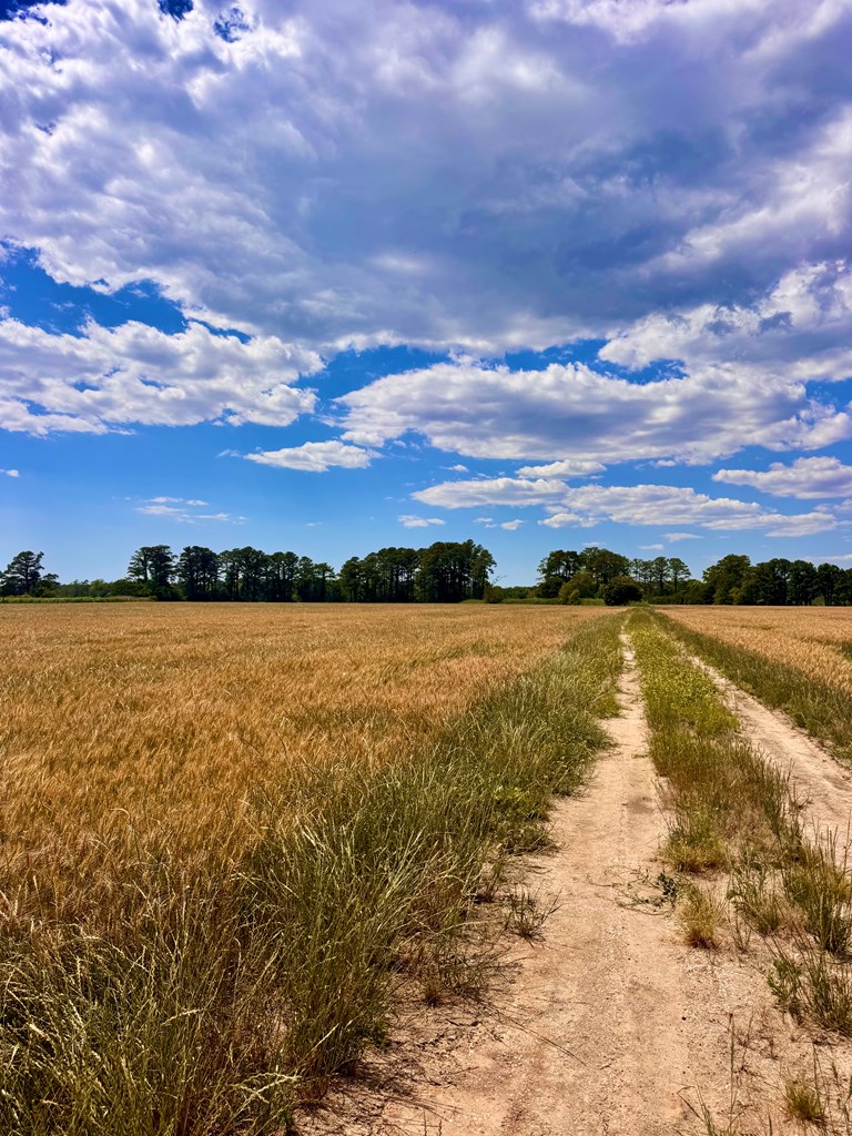 Lot 2A Miles Rd # 2A