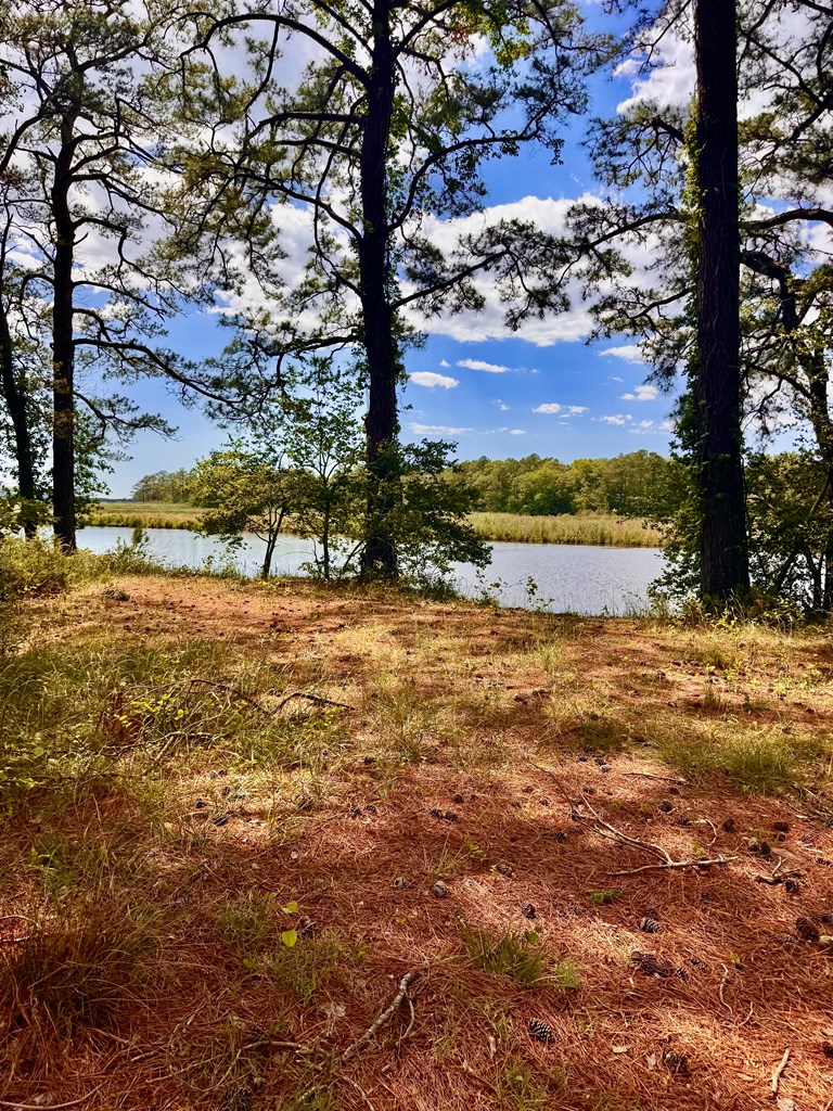Lot 2A Miles Rd # 2A