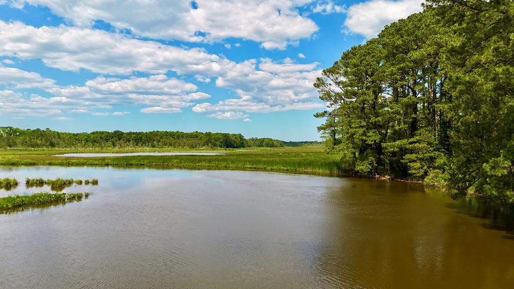 Lot 2A Miles Rd # 2A