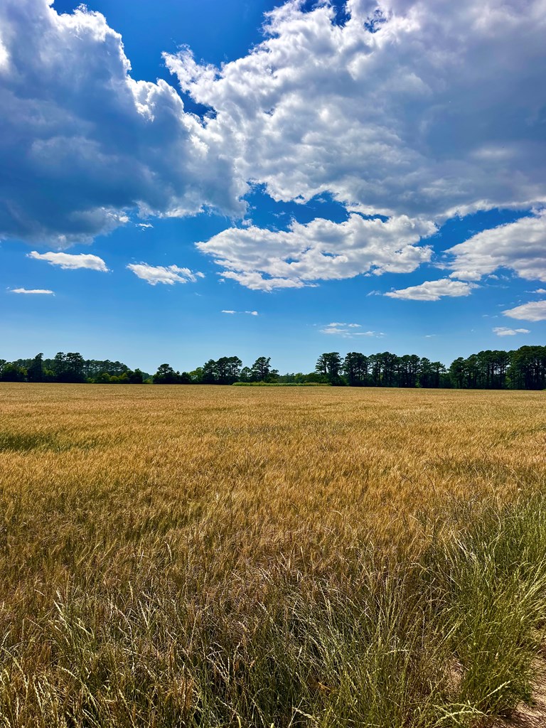 Lot 2A Miles Rd # 2A