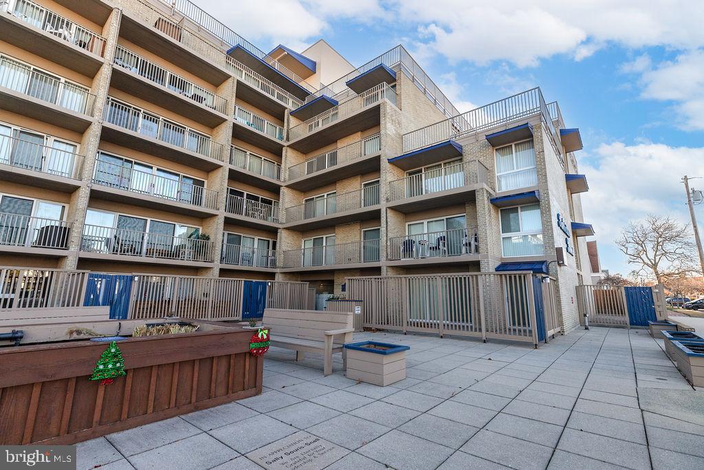 8 OLIVE AVENUE 205