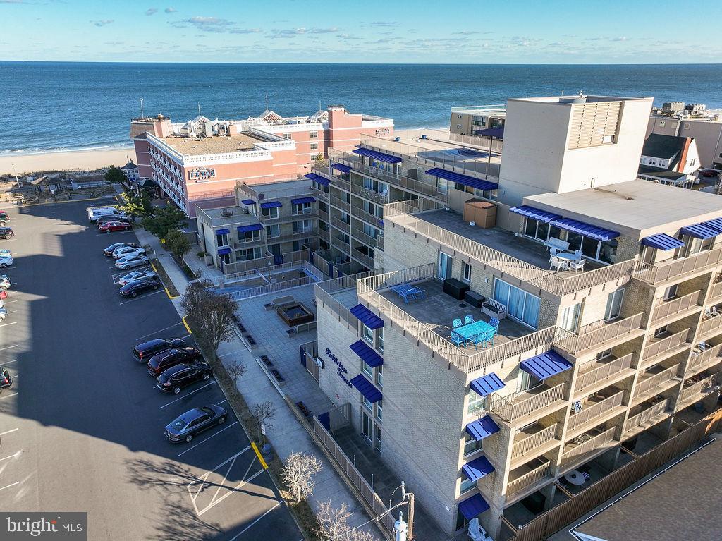 8 OLIVE AVENUE 205