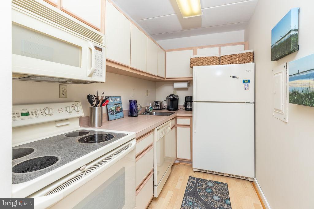 8 OLIVE AVENUE 205